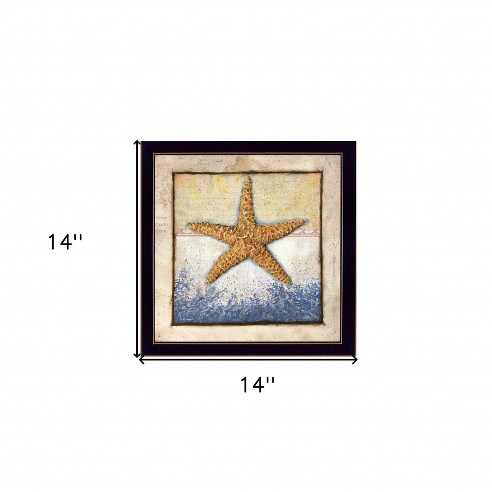 Starfish Black Framed Print Wall Art - Homeroots - Flyclothing LLC