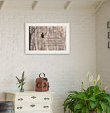 Hang in There 1 White Framed Print Wall Art - Homeroots - Flyclothing LLC