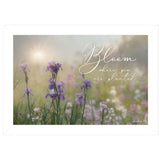Bloom Where You are Planted White Framed Print Wall Art - Homeroots - Flyclothing LLC