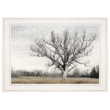Earth and Sky 1 White Framed Print Wall Art - Homeroots - Flyclothing LLC