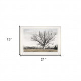 Earth and Sky 1 White Framed Print Wall Art - Homeroots - Flyclothing LLC