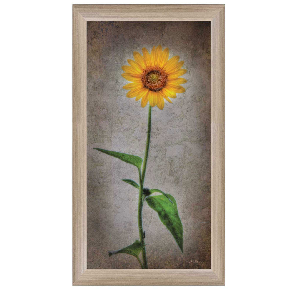 Sunflower I Brown Framed Print Wall Art - Homeroots - Flyclothing LLC