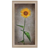 Sunflower I Brown Framed Print Wall Art - Homeroots - Flyclothing LLC