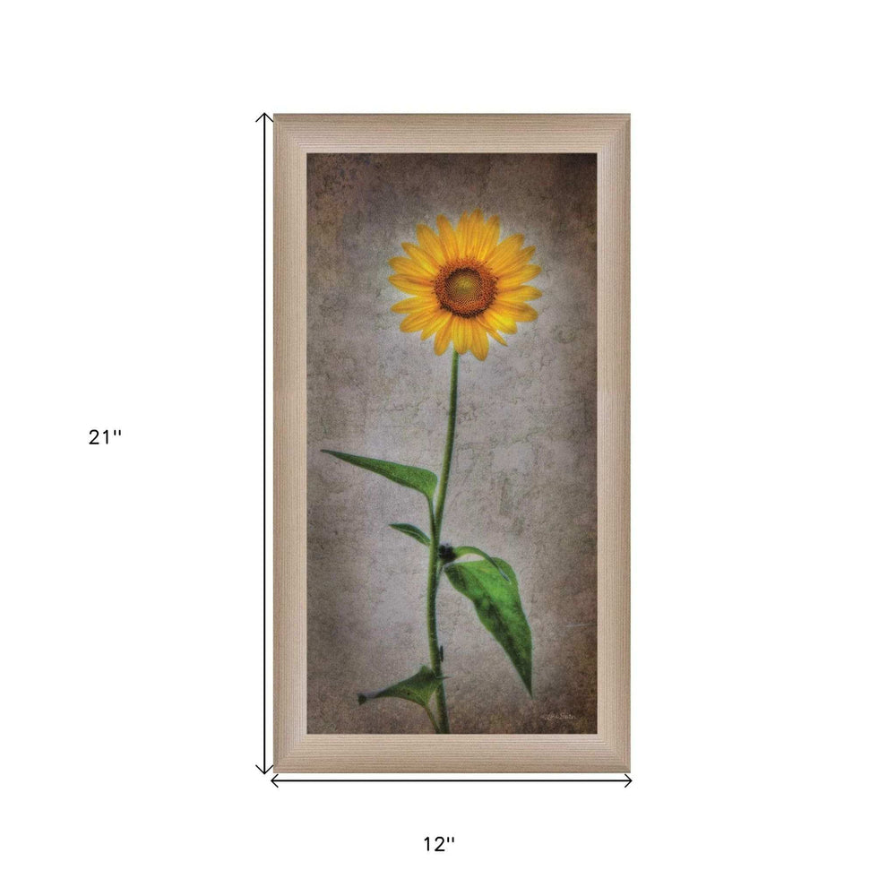 Sunflower I Brown Framed Print Wall Art - Homeroots - Flyclothing LLC