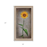 Sunflower I Brown Framed Print Wall Art - Homeroots - Flyclothing LLC