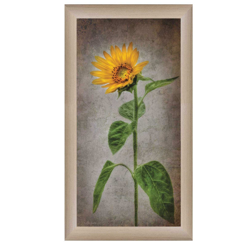 Sunflower II Brown Framed Print Wall Art - Homeroots - Flyclothing LLC