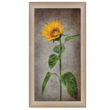 Sunflower II Brown Framed Print Wall Art - Homeroots - Flyclothing LLC