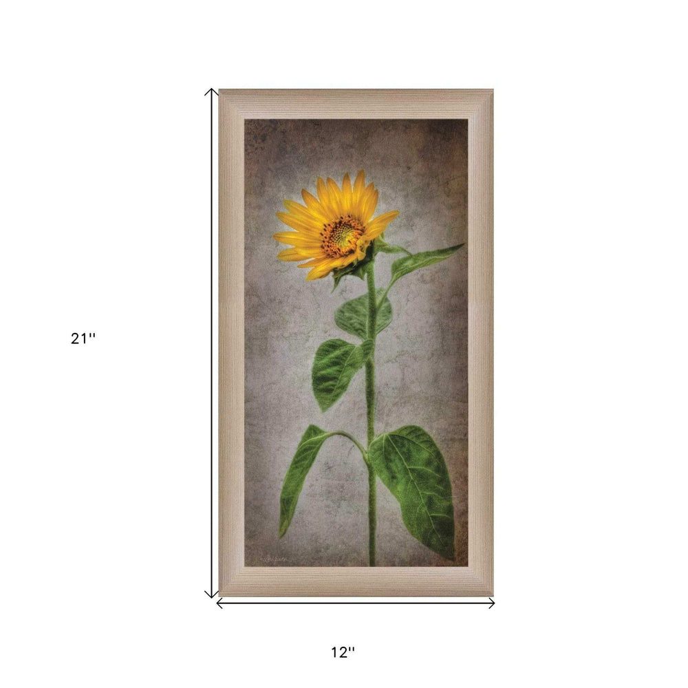 Sunflower II Brown Framed Print Wall Art - Homeroots - Flyclothing LLC