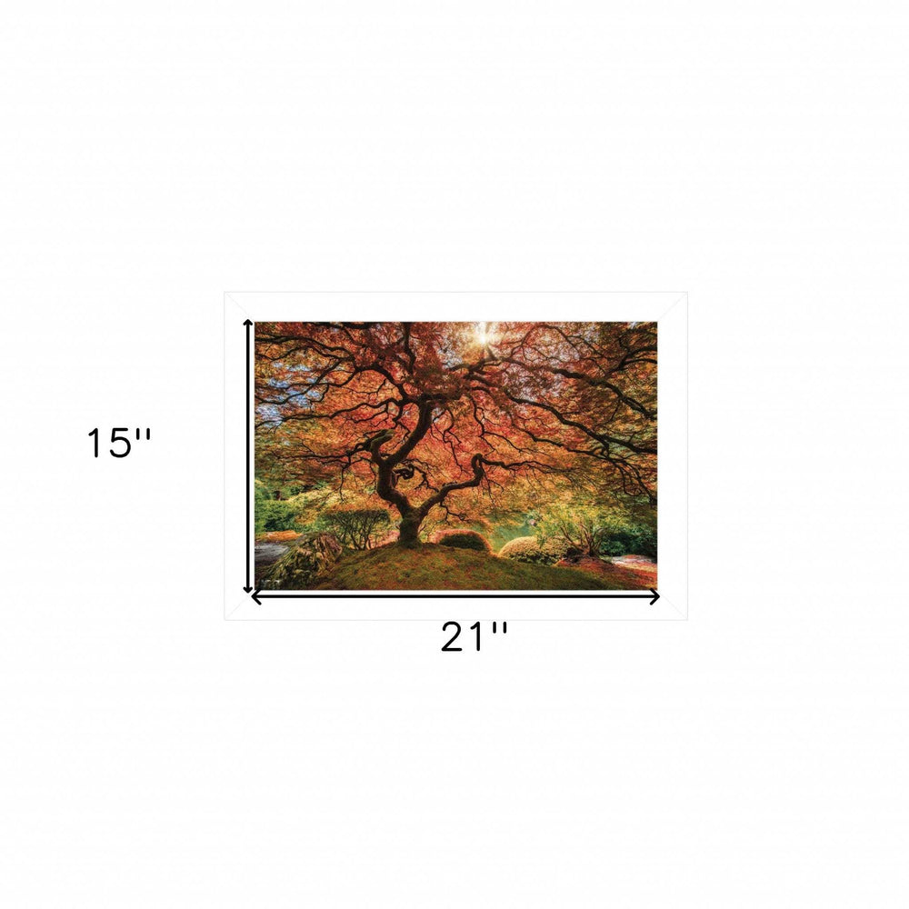 First Colors of Fall I 1 White Framed Print Wall Art - Homeroots - Flyclothing LLC