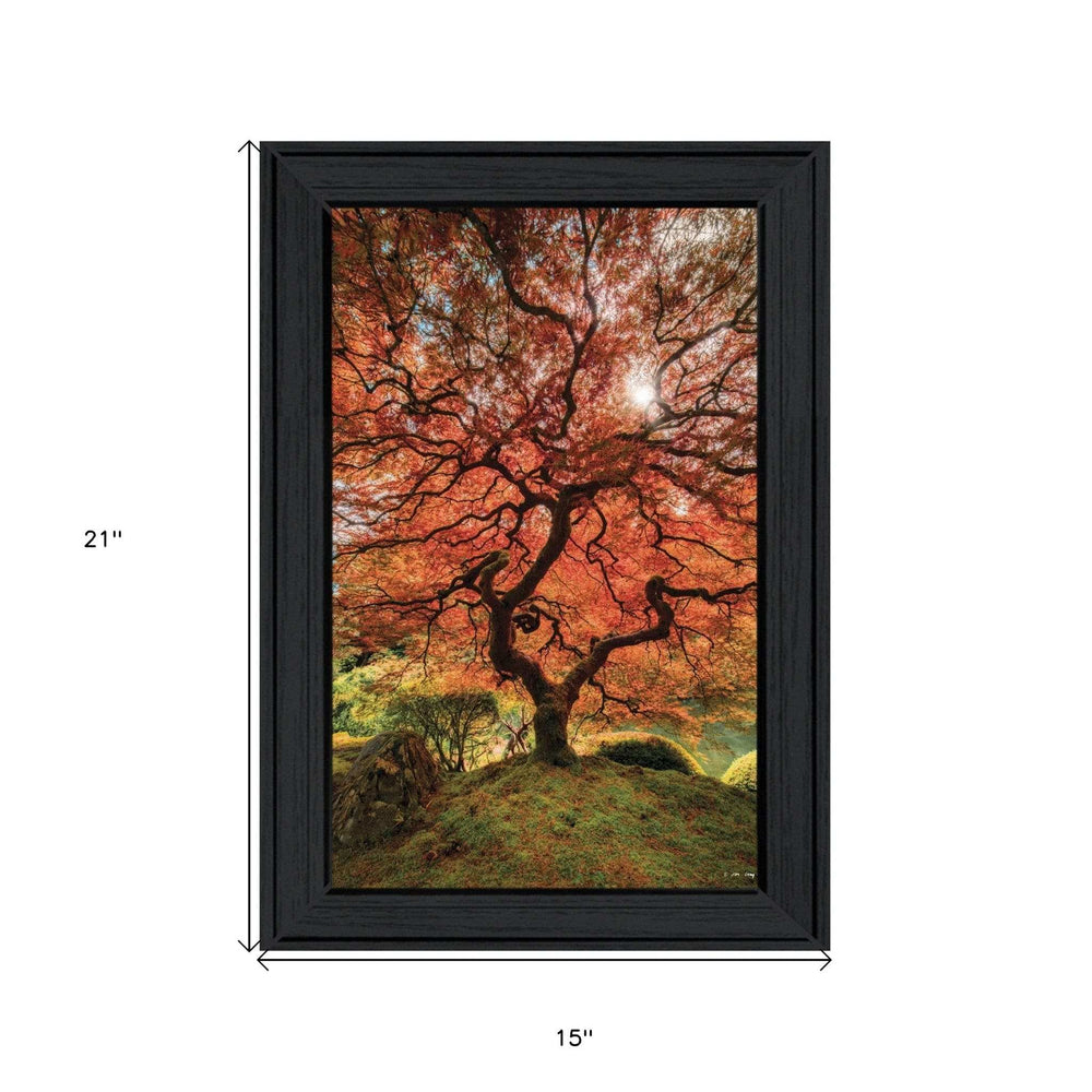 First Colors of Fall II 2 Black Framed Print Wall Art - Homeroots - Flyclothing LLC