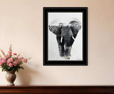 Elephant Walk 2 Black Framed Print Wall Art - Homeroots - Flyclothing LLC