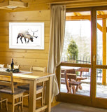 Arctic Reindeer 1 White Framed Print Wall Art - Homeroots - Flyclothing LLC