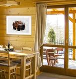 Bear in the Mountains 1 White Framed Print Wall Art - Homeroots - Flyclothing LLC