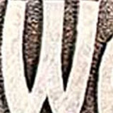 Teddy Bear Indoor Outdoor Resin Welcome Wall Decor - Homeroots - Flyclothing LLC