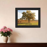 Success 3 Black Framed Print Wall Art - Homeroots - Flyclothing LLC