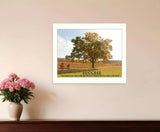 Success 4 White Framed Print Wall Art - Homeroots - Flyclothing LLC