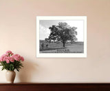 Success 6 White Framed Print Wall Art - Homeroots - Flyclothing LLC