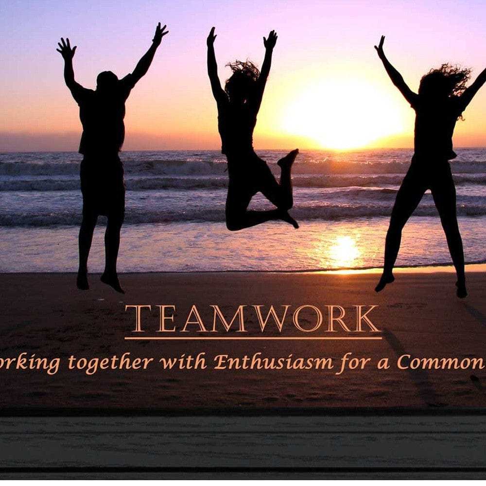 Teamwork 3 Black Framed Print Wall Art - Homeroots - Flyclothing LLC