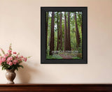 American Strength 3 Black Framed Print Wall Art - Homeroots - Flyclothing LLC