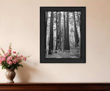 American Strength 5 Black Framed Print Wall Art - Homeroots - Flyclothing LLC