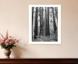 American Strength 6 White Framed Print Wall Art - Homeroots - Flyclothing LLC