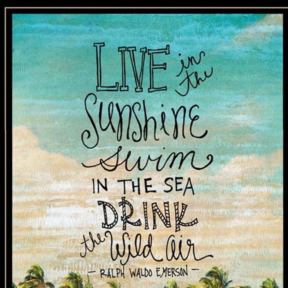 Live in the Sunshine 3 Black Framed Print Wall Art - Homeroots - Flyclothing LLC