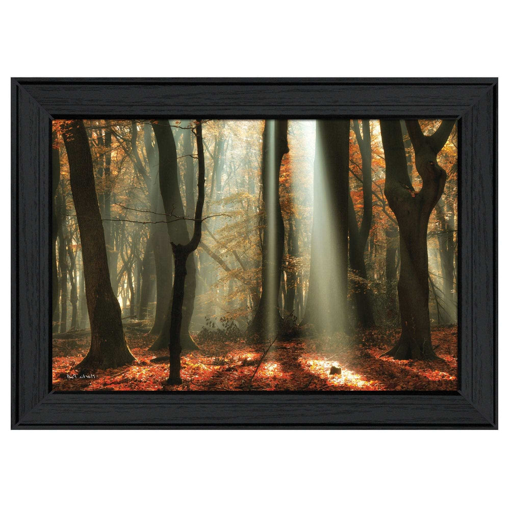 Beam Me Up Black Framed Print Wall Art - Homeroots - Flyclothing LLC