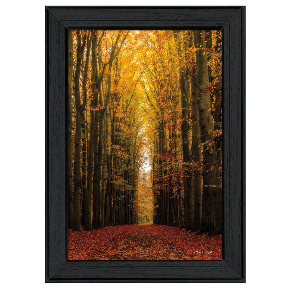 Highway to Heaven Black Framed Print Wall Art - Homeroots - Flyclothing LLC