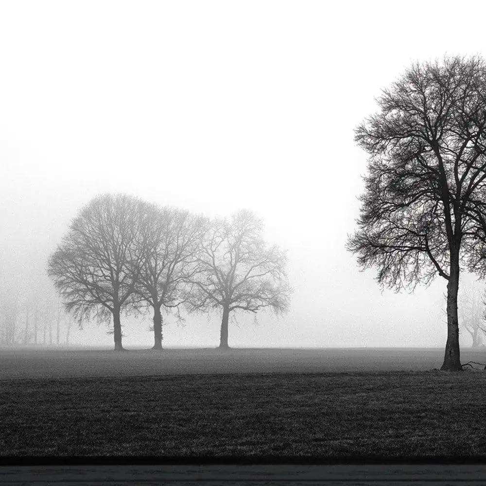 Together Again 3 Black Framed Print Wall Art - Homeroots - Flyclothing LLC