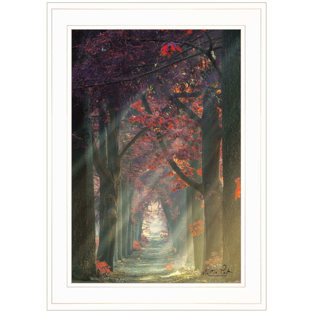 Path of Happiness 1 White Framed Print Wall Art - Homeroots - Flyclothing LLC