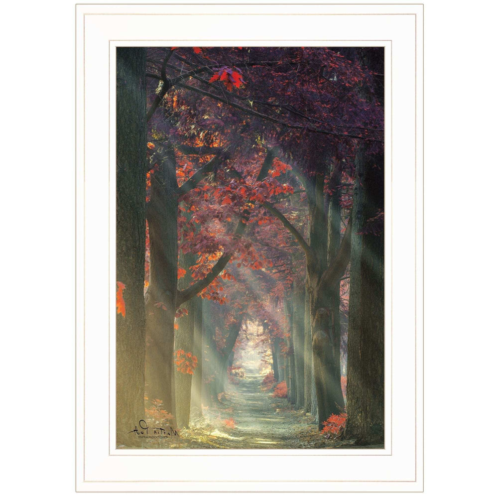 Path of Happiness 1 White Framed Print Wall Art - Homeroots - Flyclothing LLC
