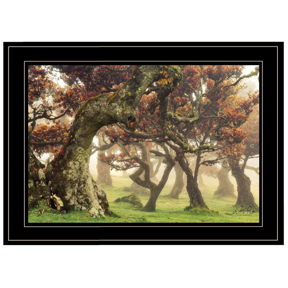 Fanal Martin Podt Ready to Hang Framed Print Black Frame Black Framed Print Wall Art - Homeroots - Flyclothing LLC