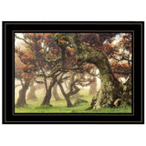 Fanal Martin Podt Ready to Hang Framed Print Black Frame Black Framed Print Wall Art - Homeroots - Flyclothing LLC