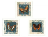 Set Of Three Butterflies White Framed Print Wall Art - Homeroots - Flyclothing LLC