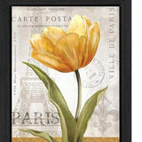 Set Of Two Paris Black Framed Print Wall Art - Homeroots - Flyclothing LLC