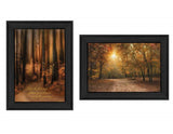 Set Of Two Autumn Black Framed Print Wall Art - Homeroots - Flyclothing LLC