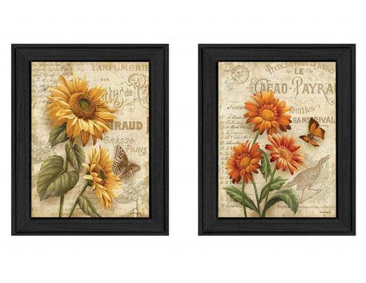 Set Of Two Flowers 2 Black Framed Print Wall Art - Homeroots - Flyclothing LLC