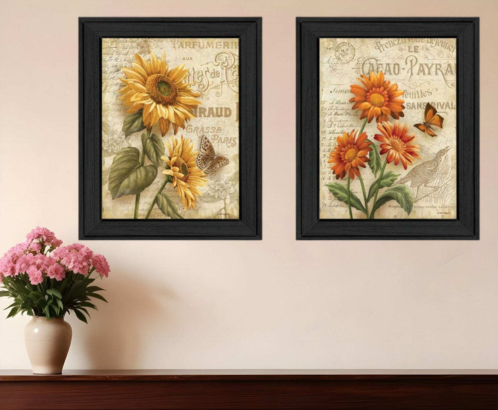 Set Of Two Flowers 2 Black Framed Print Wall Art - Homeroots - Flyclothing LLC