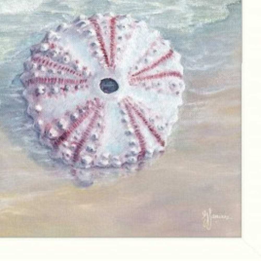 Set Of Three Shells I White Framed Print Bathroom Wall Art - Homeroots - Flyclothing LLC