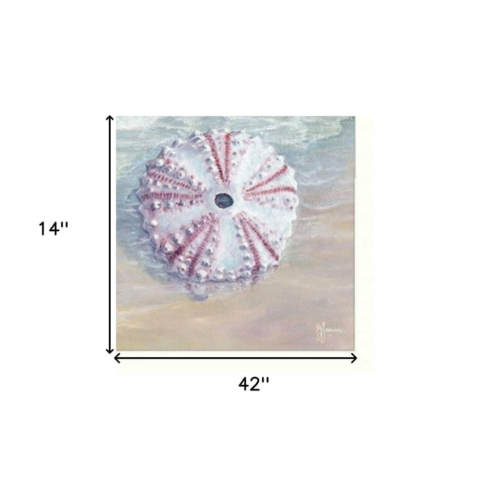 Set Of Three Shells I White Framed Print Bathroom Wall Art - Homeroots - Flyclothing LLC