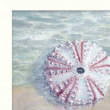 Set Of Three Shells I White Framed Print Bathroom Wall Art - Homeroots - Flyclothing LLC