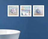 Set Of Three Shells I White Framed Print Bathroom Wall Art - Homeroots - Flyclothing LLC
