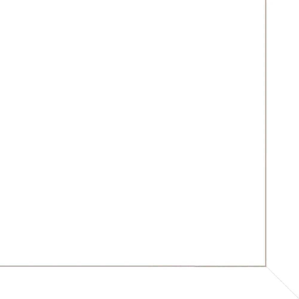 Set Of Two Black And White Rooster White Framed Print Wall Art - Homeroots - Flyclothing LLC