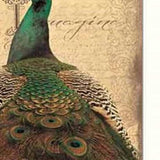 Set Of Two Peacock 1 White Framed Print Wall Art - Homeroots - Flyclothing LLC