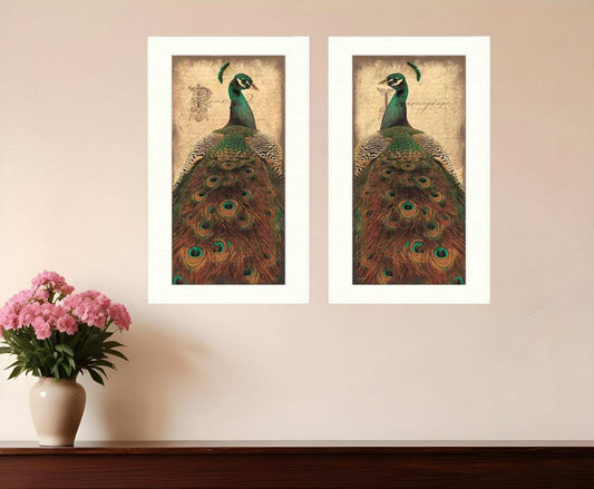Set Of Two Peacock 1 White Framed Print Wall Art - Homeroots - Flyclothing LLC