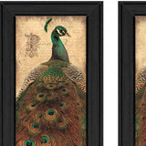 Set Of Two Peacock 2 Black Framed Print Wall Art - Homeroots - Flyclothing LLC