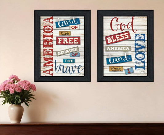 Set Of Two American 1 Black Framed Print Wall Art - Homeroots - Flyclothing LLC