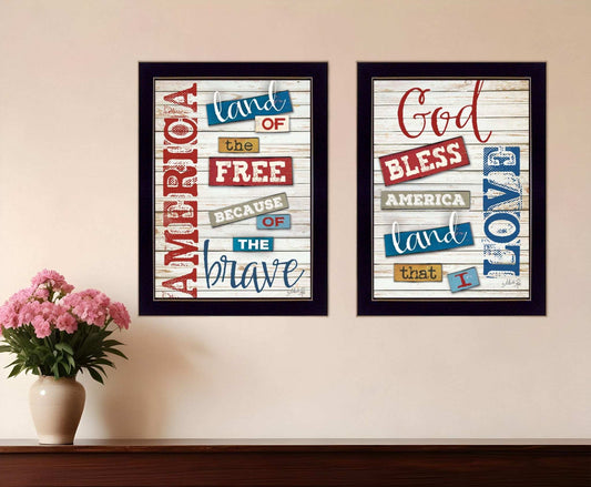Set Of Two American 2 Black Framed Print Wall Art - Homeroots - Flyclothing LLC