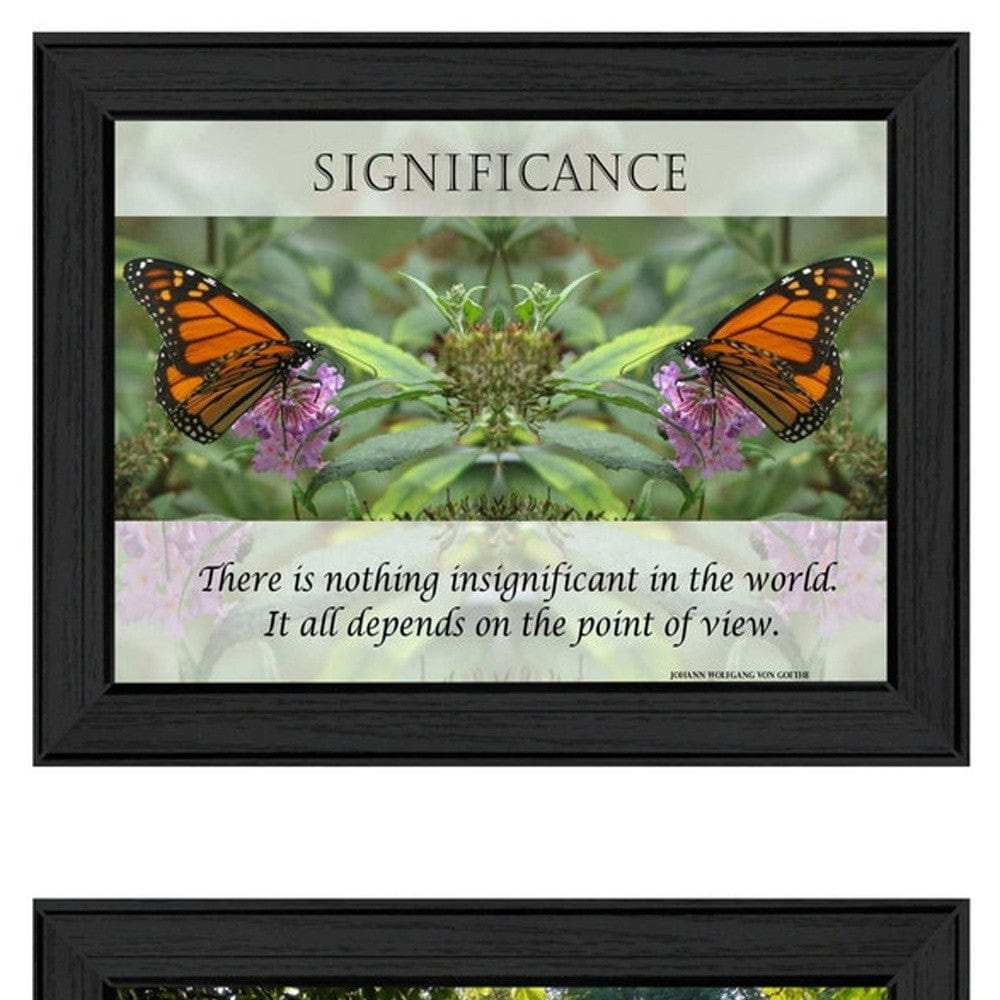 Set Of Two Beauty 1 Black Framed Print Wall Art - Homeroots - Flyclothing LLC