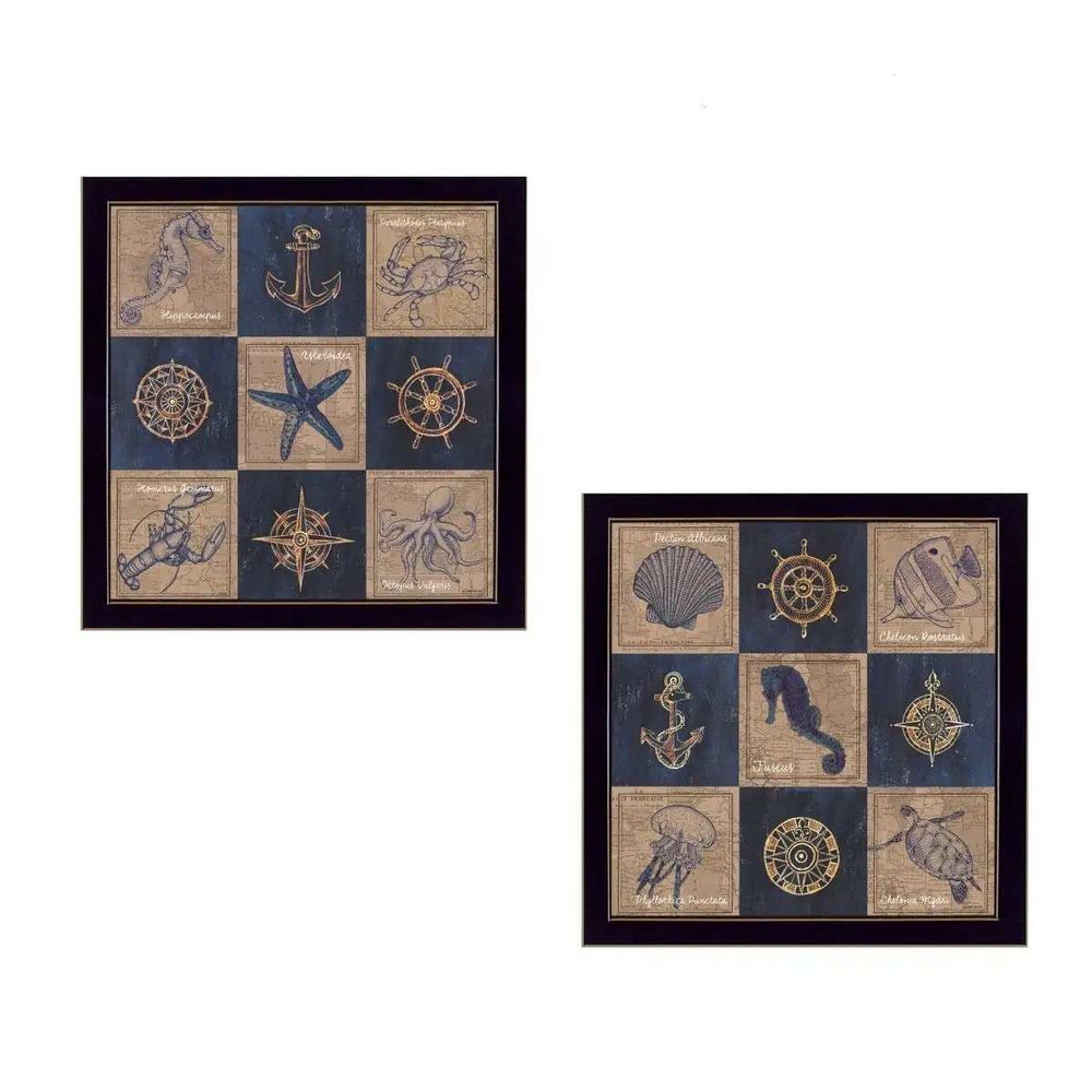 Set Of Two Coastal Collage Black Framed Print Wall Art - Homeroots - Flyclothing LLC